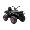 Quad electric negru XL