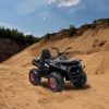 Quad electric negru XL