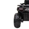Quad electric negru XL