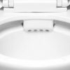 Toaleta monobloc Niagara Duo fara rampa, cu evacuare in spate si scaun