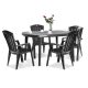 Set de mobilier de gradina Eltorini 4-1 in culoarea grafit