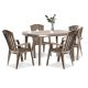 Set de mobilier de gradina Eltorini 4-1 in culoarea cappuccino