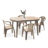 Set de mobilier de gradina Elma 4-1 in culoarea cappuccino