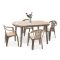 Set de mobilier de gradina Elma 4-1 in culoarea cappuccino