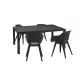 Set mobilier de gradina Romy 4-1, grafit