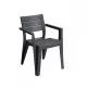 Scaun de gradina Julie din plastic cu cotiere, grafit