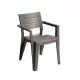 Scaun de gradina Julie din plastic cu cotiere cappuccino