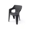 Scaun de gradina din plastic Bilboa Iowback cu cotiere, negru