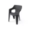 Scaun de gradina din plastic Bilboa Iowback cu cotiere, negru