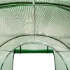 Sera din folie 2x3x2 m cadru-folie
