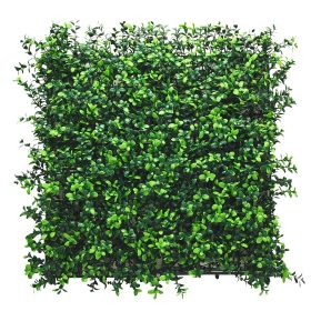 Perete verde din plastic buxus 50x50 cm