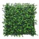 Perete verde din plastic buxus 50x50 cm