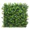 Perete verde din plastic chihlimbar 50x50 cm