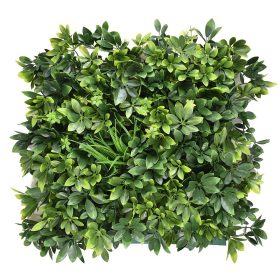 Perete verde din plastic Aralia 50x50 cm