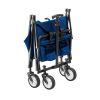 Carucior de gradina MIR501 - albastru