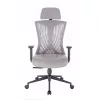 Scaun rotativ ergonomic de birou Ergomax gri deschis