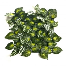 Perete verde din plastic Aureus 33x33 cm