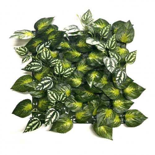 Perete verde din plastic Aureus 33x33 cm