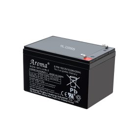 Baterie auto electrica 10 Ah