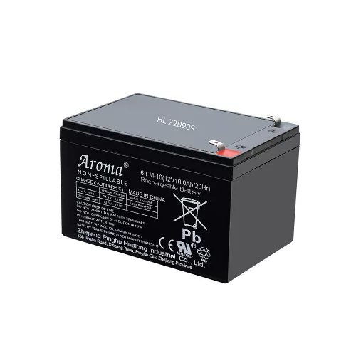 Baterie auto electrica 10 Ah
