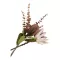 Buchet de flori artificiale Protea, mix bordo 65 cm