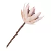 Buchet de flori artificiale Protea, mix bordo 65 cm