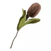 Buchet de flori artificiale Protea, mix bordo 65 cm