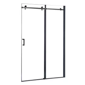 Bold 120x195 cm ușă de duș cu rol