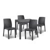 Set mobilier de gradina Goti 4-1, grafit