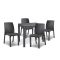 Set mobilier de gradina Goti 4-1, grafit
