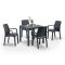 Set mobilier de gradina Petri 4-1, grafit
