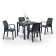 Set mobilier de gradina Petri 4-1, grafit