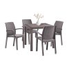 Set mobilier de gradina Petri 4-1 cappuccino
