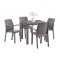 Set mobilier de gradina Petri 4-1 cappuccino