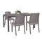 Set mobilier de gradina Hellda 4-1 cappuccino