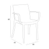 Scaun de gradina Trinity din plastic cu cotiere, grafit