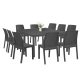 Set mobilier de gradina Monza 10-1, grafit