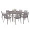 Set mobilier de gradina Alina 8-1 cappuccino