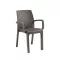 Scaun de gradina din plastic Verdi, model cappuccino