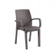 Scaun de gradina din plastic Verdi, model cappuccino