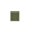 Boxie dulap de perete deschis 40x40x37 cm verde