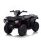 Quad electric negru