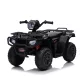 Quad electric negru