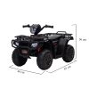 Quad electric negru