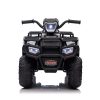 Quad electric negru