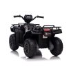 Quad electric negru