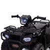 Quad electric negru