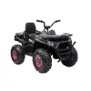Quad electric negru XL