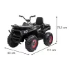 Quad electric negru XL