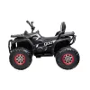 Quad electric negru XL